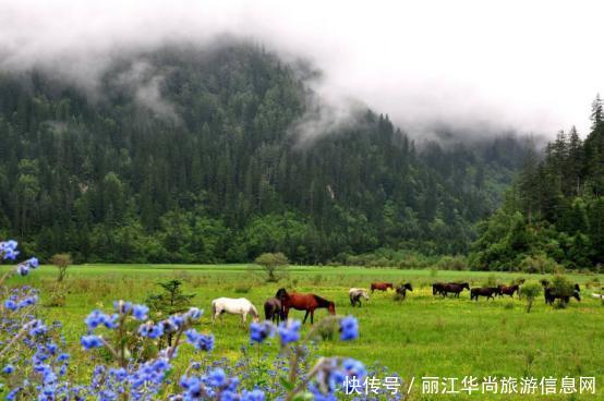 最适合一个人旅行的城市