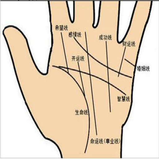 11m应用介绍 安全无毒 有广告 免费          