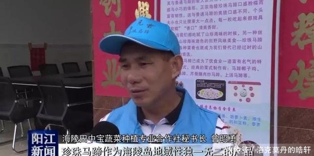 合作社注册商标