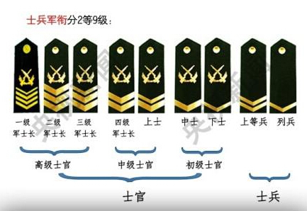 五级士官能自主择业吗_360问答