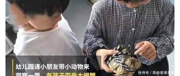 幼儿园场地要求