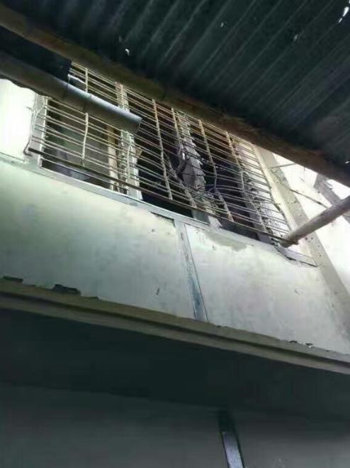 北京pk10技巧万能码手机版本_沧州本地宝