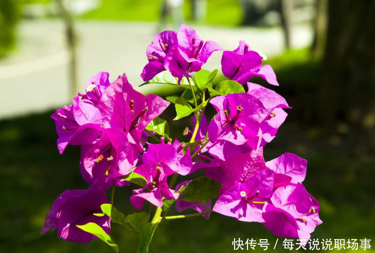 职场老油条提醒:领导最怕员工这两点,员工最怕