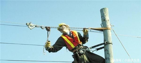 低压电工证网上查询