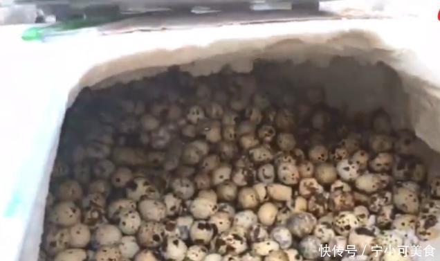 河北大哥北京卖鹌鹑蛋,还说顺口溜,网友:被耽误