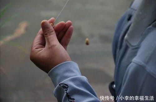 新手钓鱼入门的基本功,勤加练习中鱼 so easy!