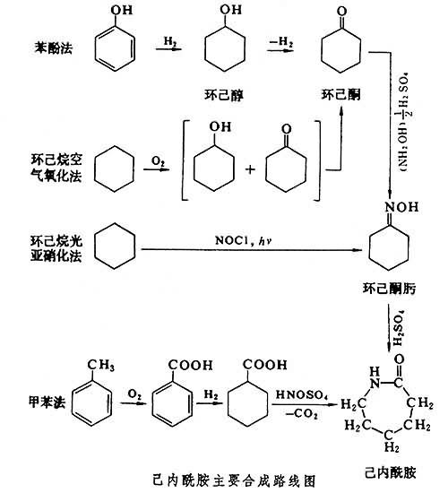 聚己内酰胺