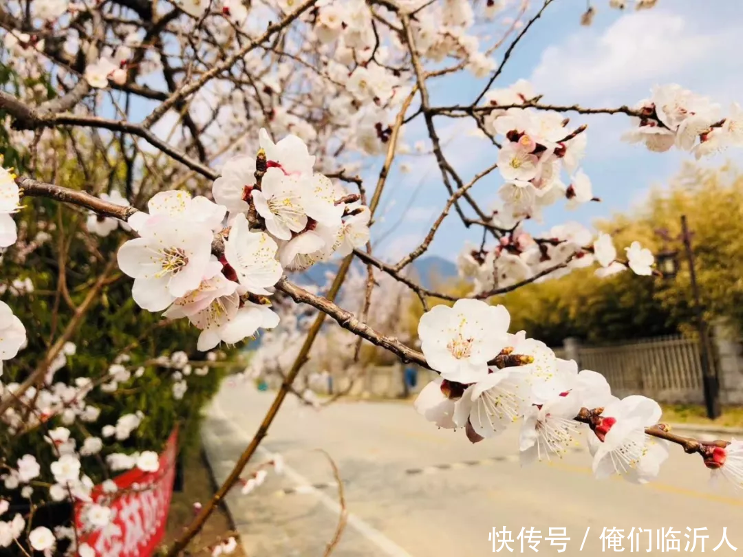 择一处以终老,闲居其间,我选择一座山!