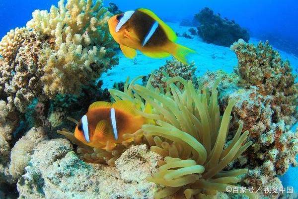 海口龙华海乐天水族馆（海口龙华海乐天水族馆电话）