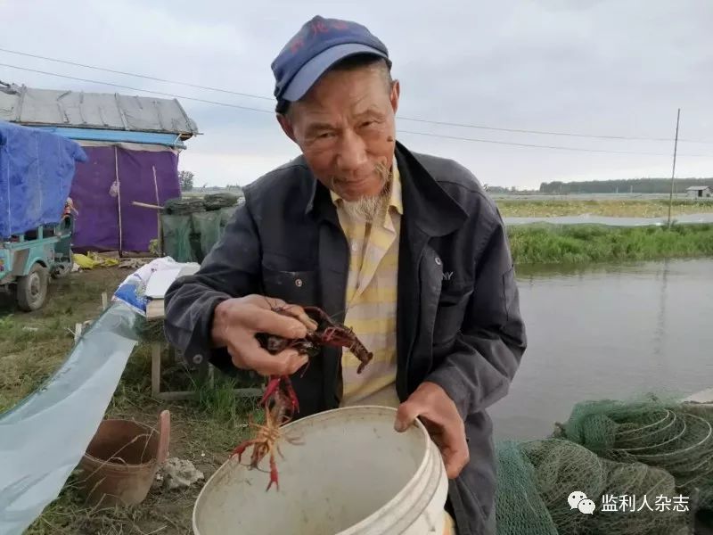 湖北荆州监利这个78岁的老人养龙虾-告诉你技术秘诀