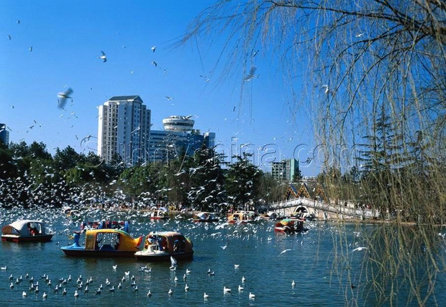 翠湖公园