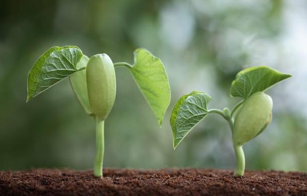 从前的我,什么都信;如今的我,不再是从前的我!