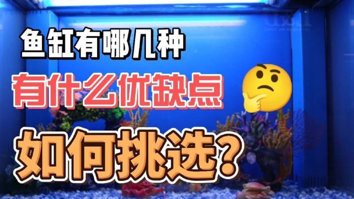 龍巖魚缸批發(fā)市場（龍巖魚缸批發(fā)市場在哪里） 觀賞魚水族批發(fā)市場