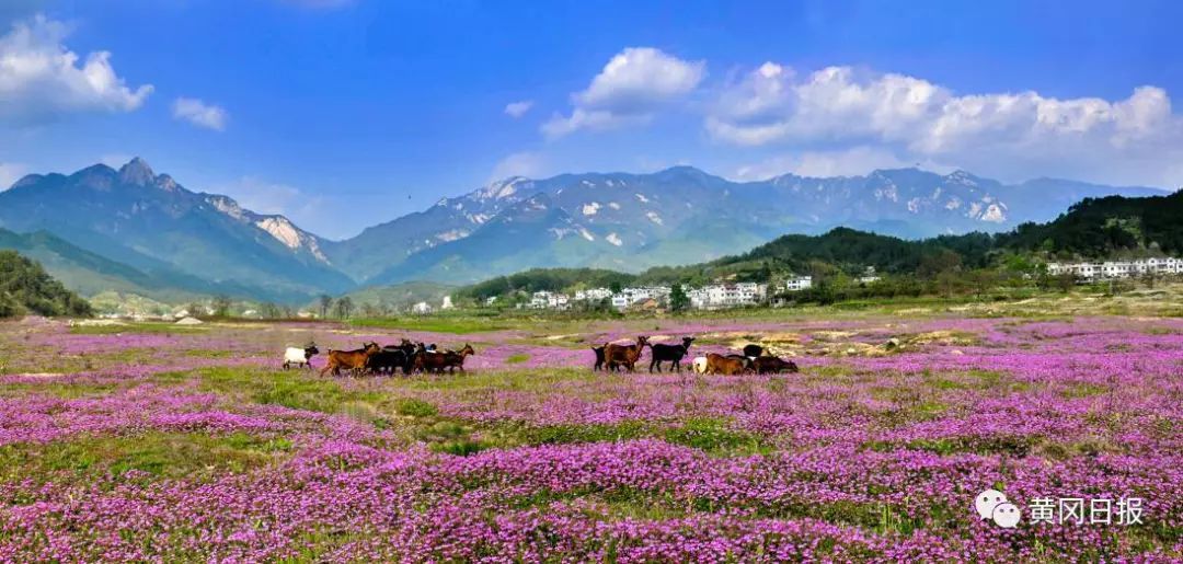 湖北又拿下一个世界级称号!这个地方再也藏不住了!
