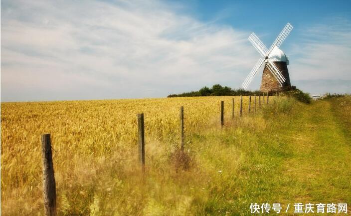 重庆在职研究生可以报考全日制博士吗