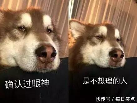 这帮人都不用搬砖的吗?怎么就是我自己啊_【