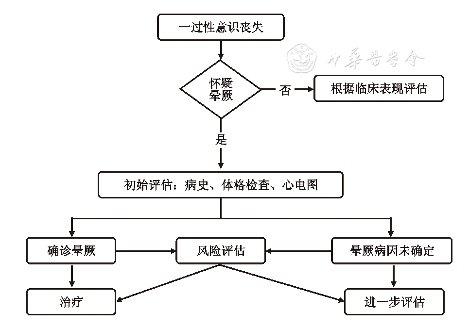 儿童心源性晕厥的评估和诊断