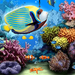 海洋水族馆动态壁纸