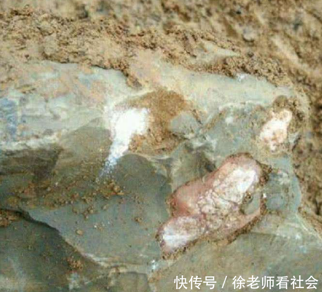 农民在山上摘草药时看见一块“石头”凑近一看, 赶紧请来专家