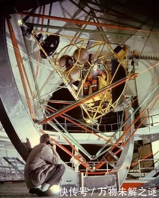 我们怎么知道外太空不能生存?这条狗用生命来证实