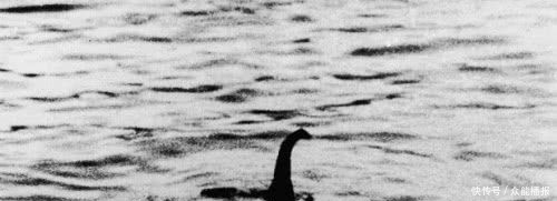 t01e90904c7946e2456.jpg?size=500x181