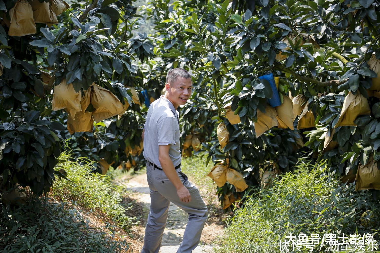 福建农村小伙把柚子卖到了国外, 一年卖出3亿