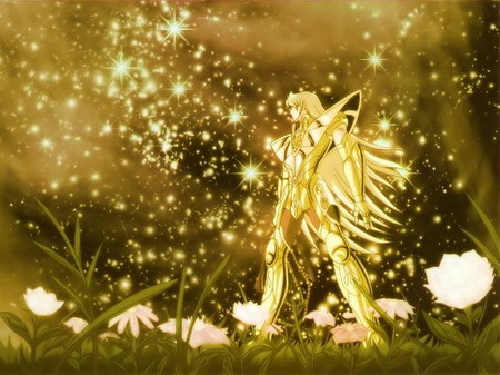 神沙加先升哪个技能