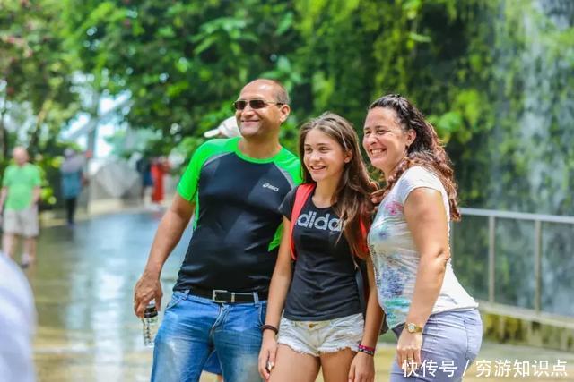 这是什么节奏？新加坡竟然花了10亿打造“原始森林”