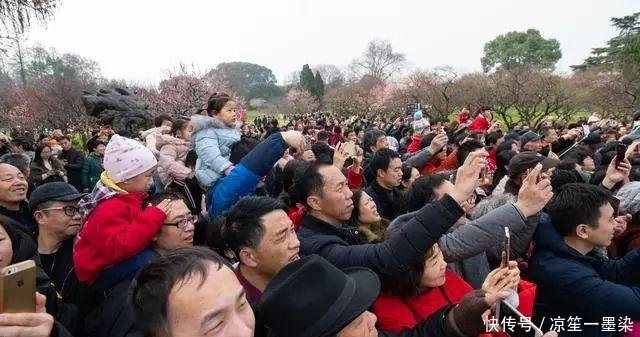 城表情|春花正好a表情动态包图表情图片