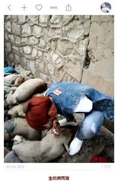 害人不浅的快手APP,你还能火多久?