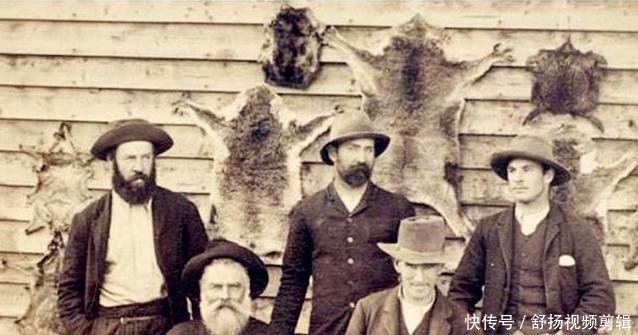 澳大利亚的火考拉