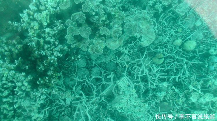 被世人称为印度洋的宝石:曾是渡渡鸟聚居地,而且钞票上印着华人