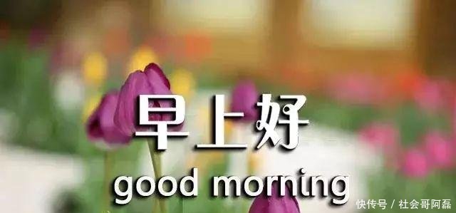 2018最新漂亮早晨好表情图片表情包图片的信大全微恶心人动态,最漂亮早上图片