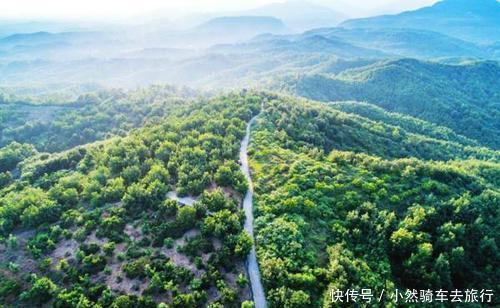 鲁山县下汤镇湖泊岭上的油桃为何成了抢手的香饽饽