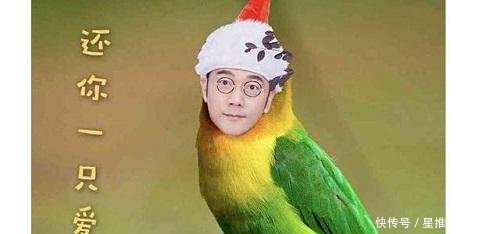 林依轮晒80元天价葡萄, 感叹锦觅真身太贵, 杨