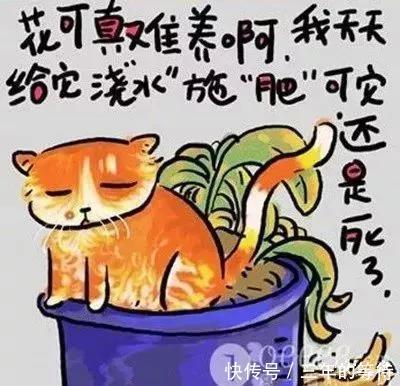 人生歪理,歪的很有道理！非常有才,值得一看!