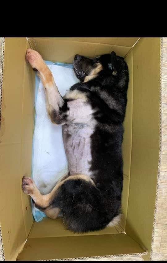 派出所笔录多久消除