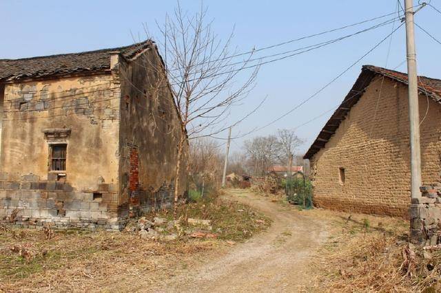 前夫家嫌我不孕逼我离婚,两年后我嫁了城里老公,前夫追着求复婚