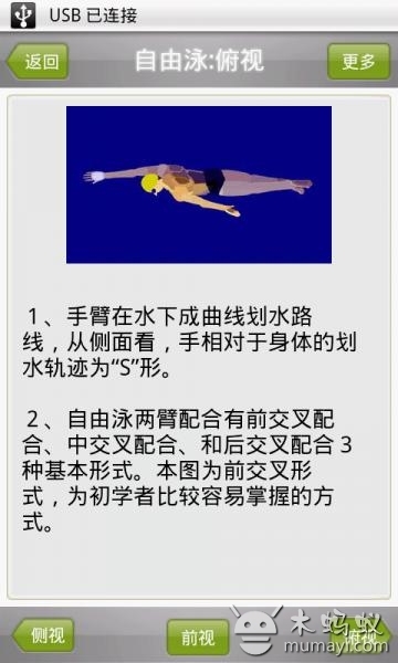 游泳动画教程截图3