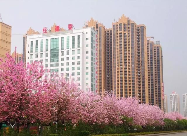 本周贵港的天气太刺激!现在已经升温了,再来个