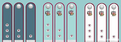 给税务局的情况说明