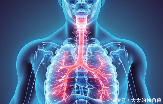 肺纹理增多和肺结节是不是一回事?