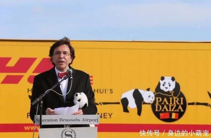 外国人有多喜欢大熊猫?看看这些熊猫所受的待