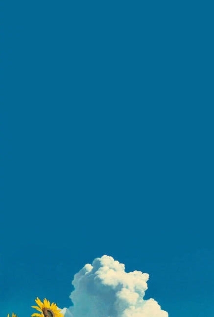 动漫背景图:生活让人觉得美好,因为有最美的风