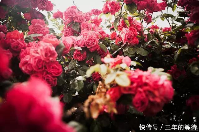 一个人情商高的10个表现