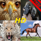 Animals voices HD FREE