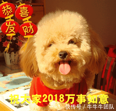 2018狗年春节祝福问候图片!最新最全,快收好!