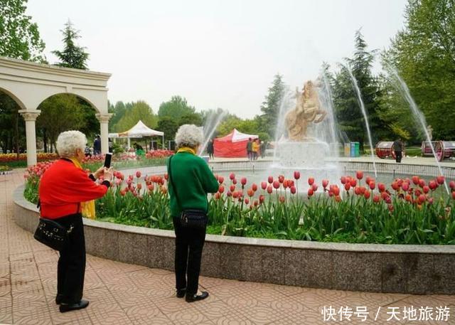 花卉摄影:醉人郁金香