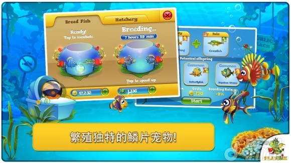 口袋水族馆 修改版 Pocket Fishdom截图1