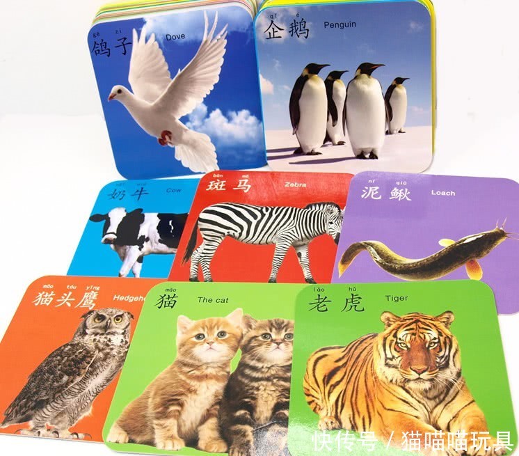 1到3个月的孩子适合玩哪种玩具